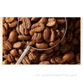 Café comercial Nutty Daily Blend
